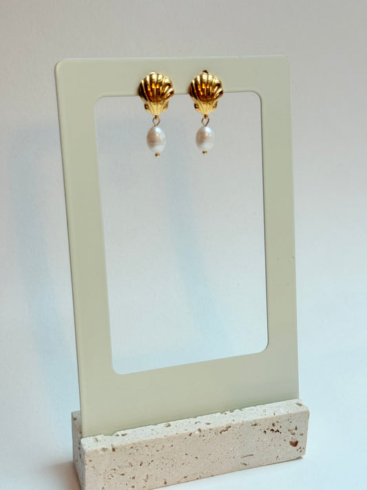 Pearl shell Earrings