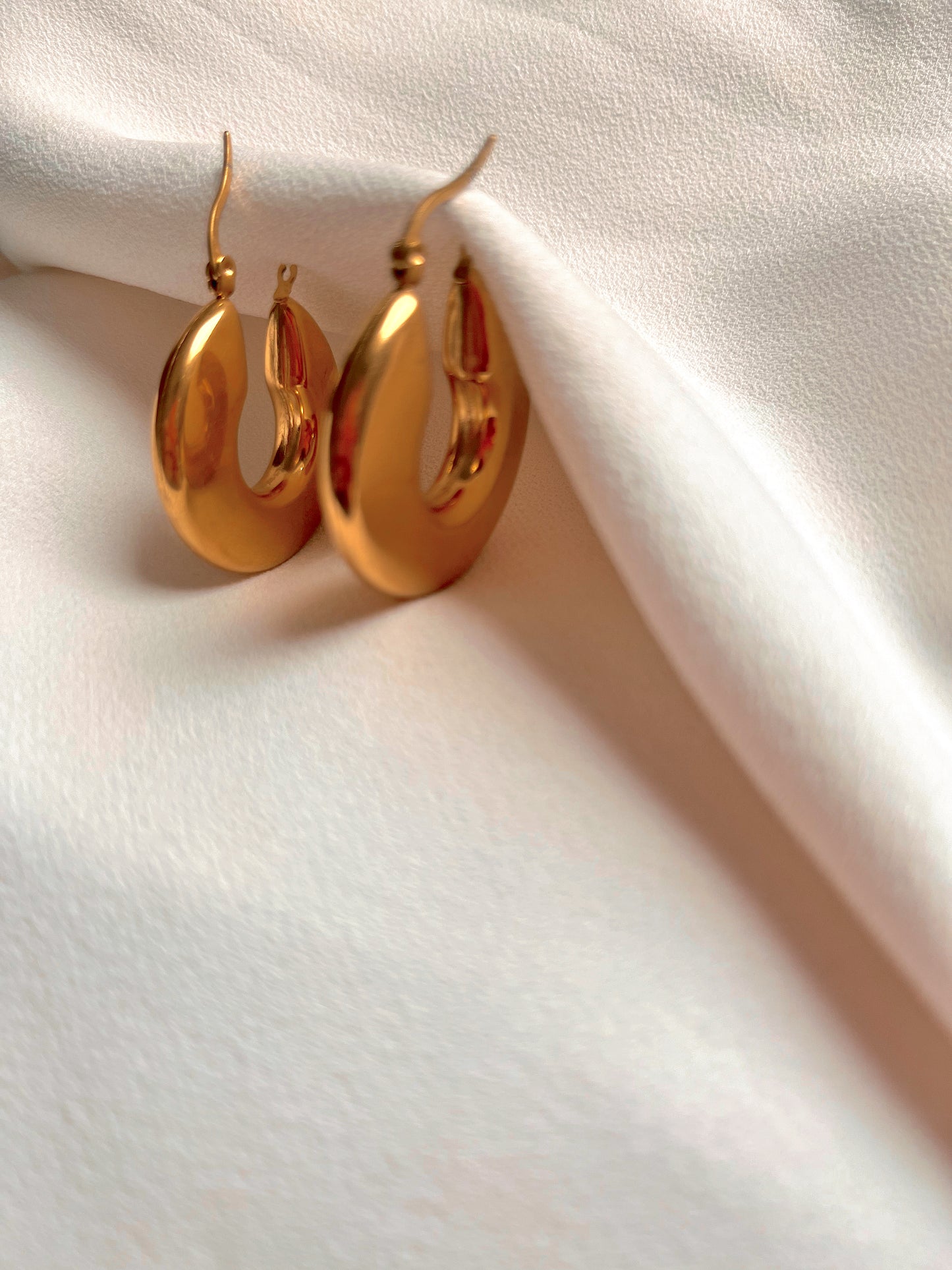 Torc Golden earrings