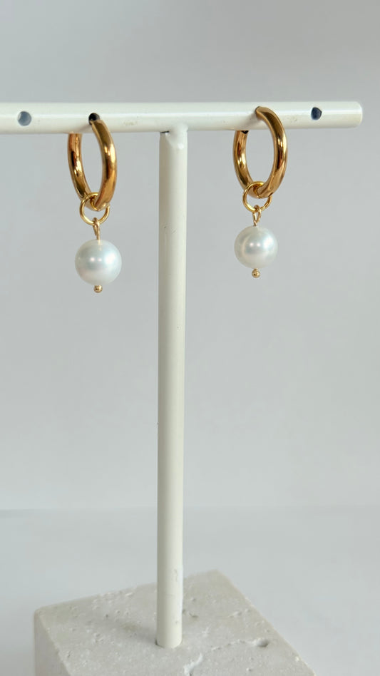 Idoya shell pearl hoops