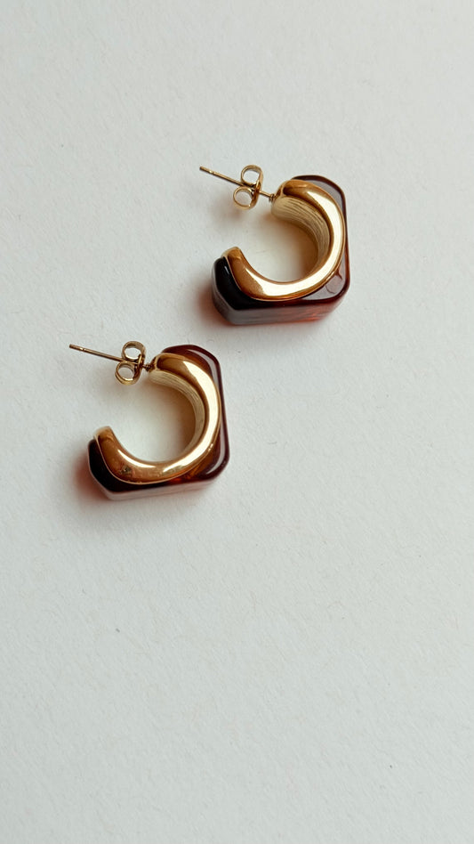 Tortoise shell Earrings