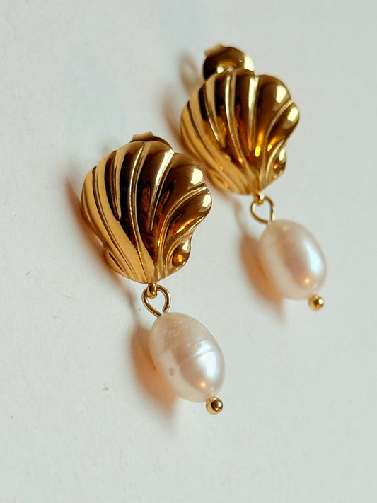 Pearl shell Earrings