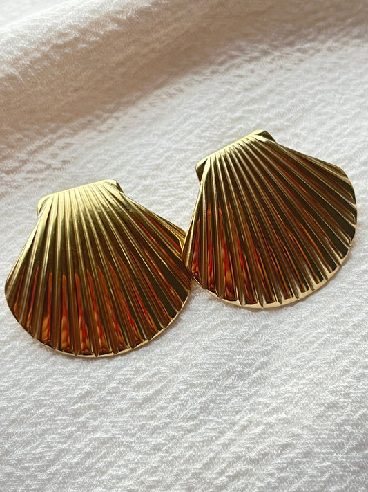 Shell earrings