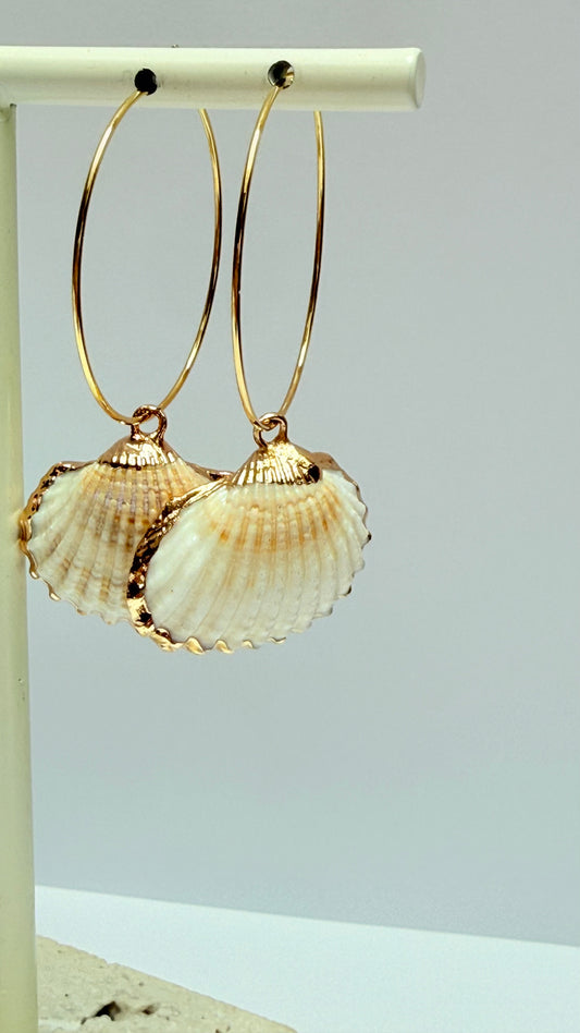 Natural shell  Hoops
