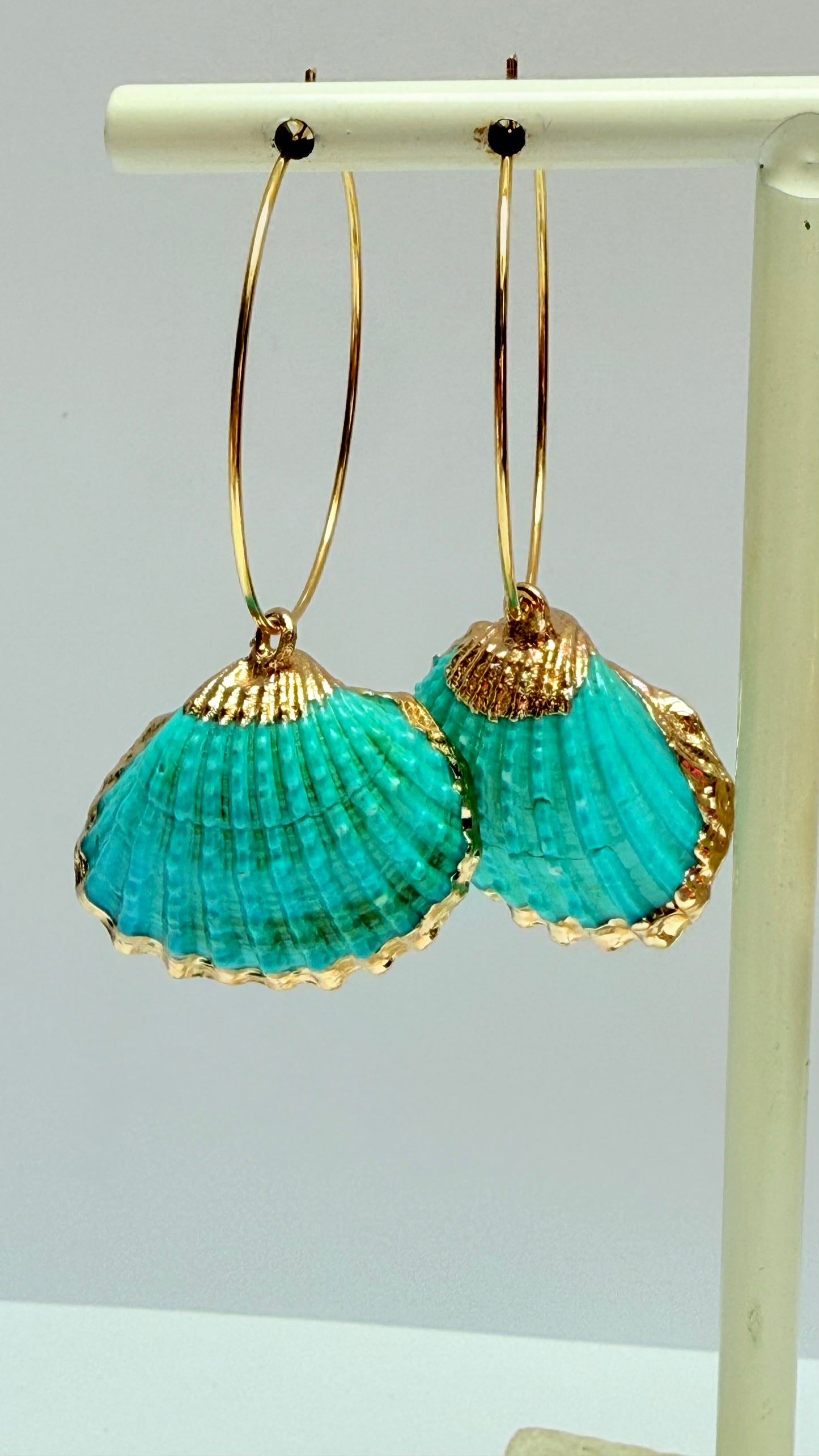 Turquoise shell  Hoops