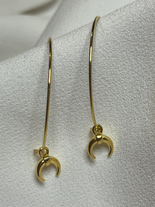 Tiny horn  Hoop Earrings